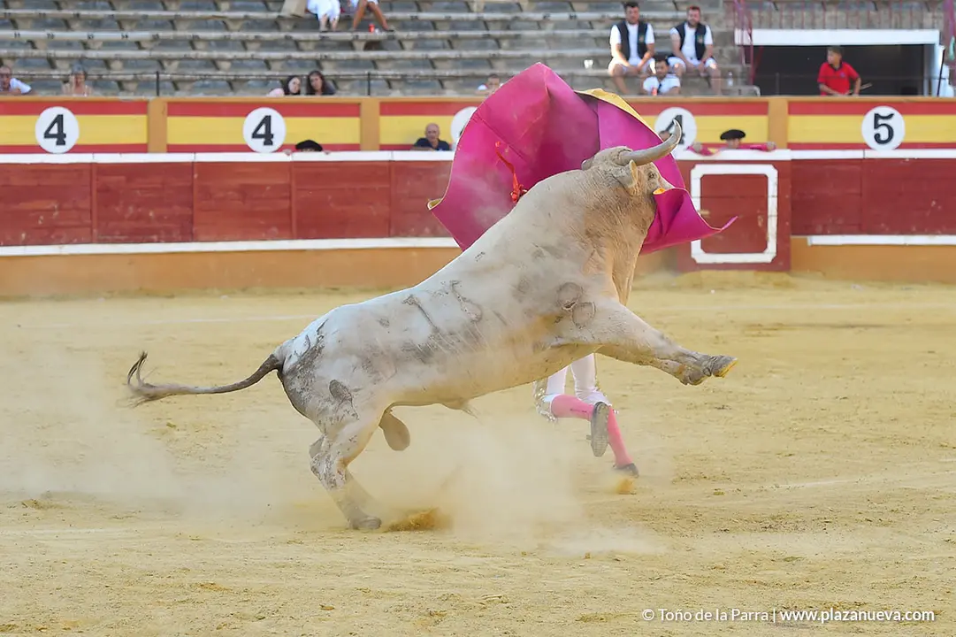FIESTAS2023_30_CORRIDA_TOROS (34)
