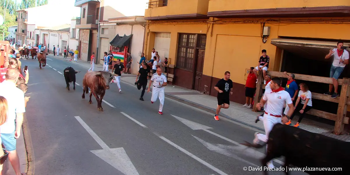 Encierro y prueba en la plaza 7