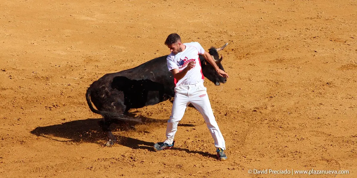 Encierro y prueba en la plaza 17