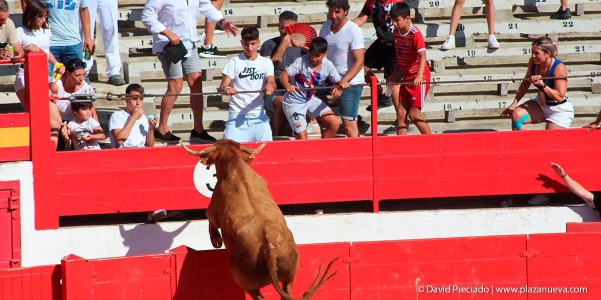 Encierro y prueba en la plaza 23