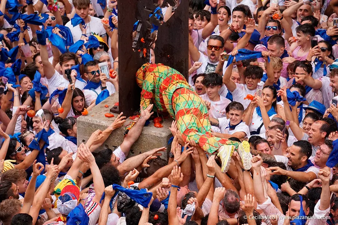 Cipotegato de Tarazona 2023 14