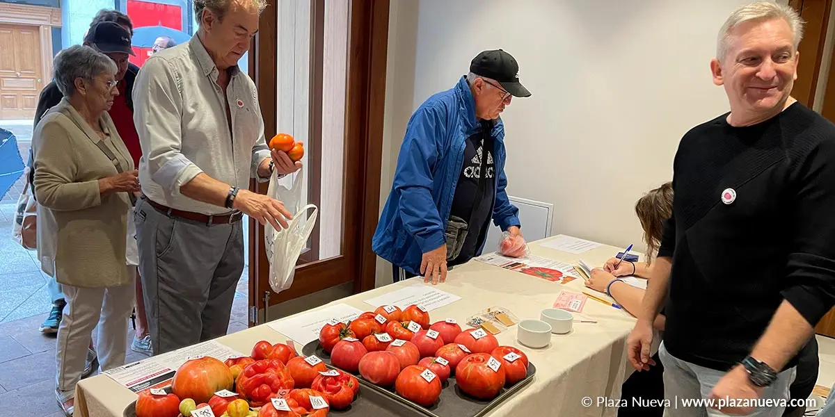 Tomate Feo de Tudela 2023 1