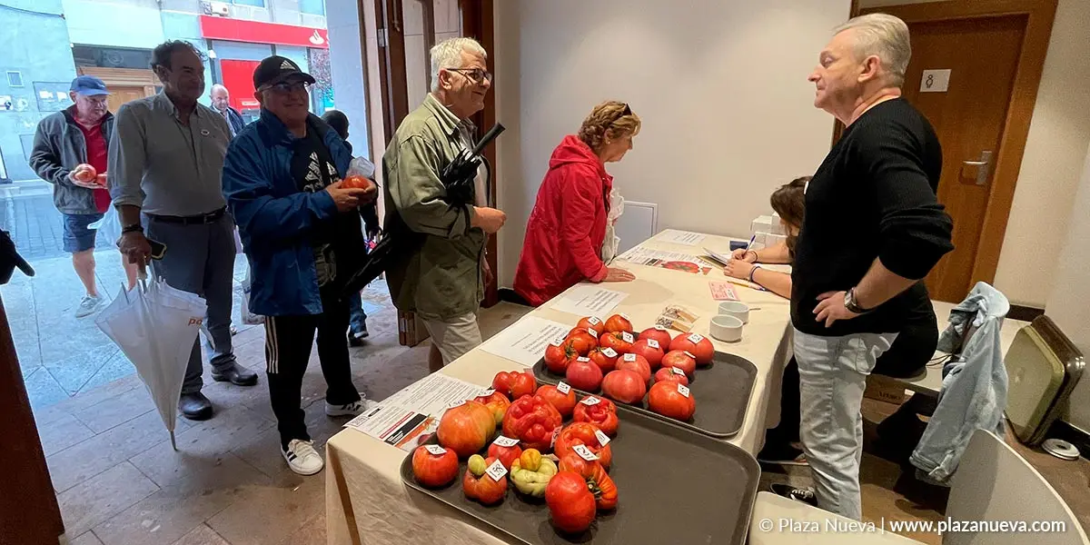 Tomate Feo de Tudela 2023 2