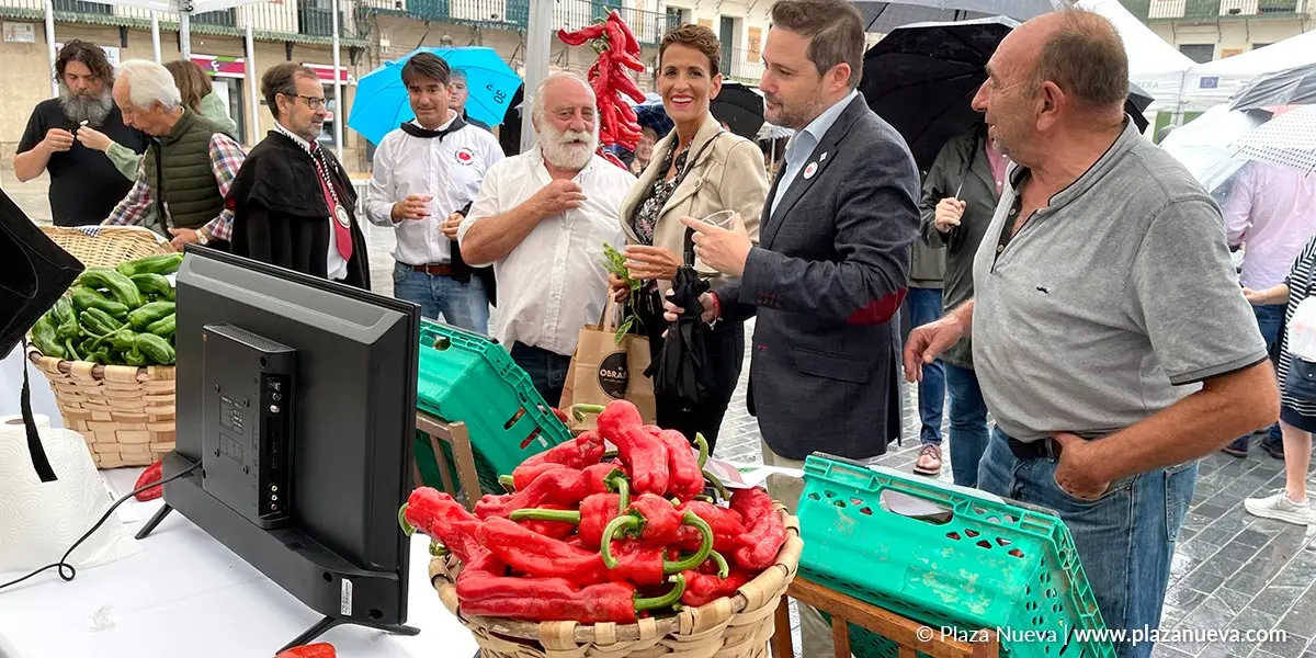 Tomate Feo de Tudela 2023 5
