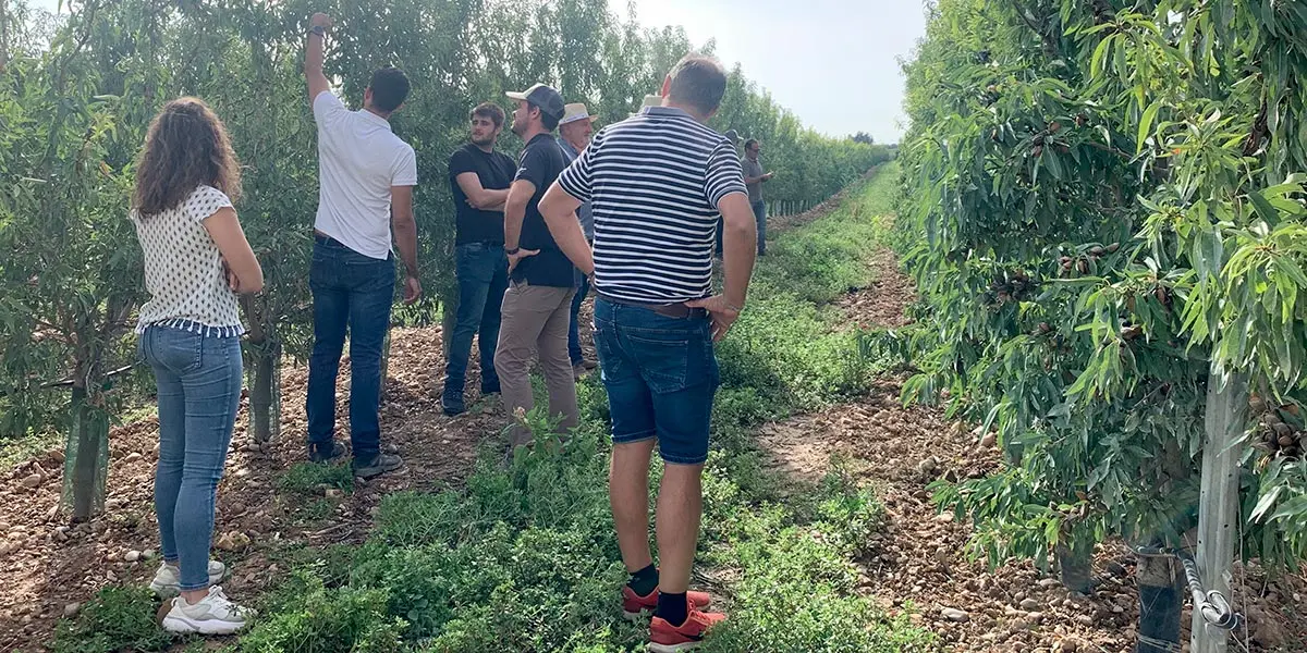 Agromillora almendro 1