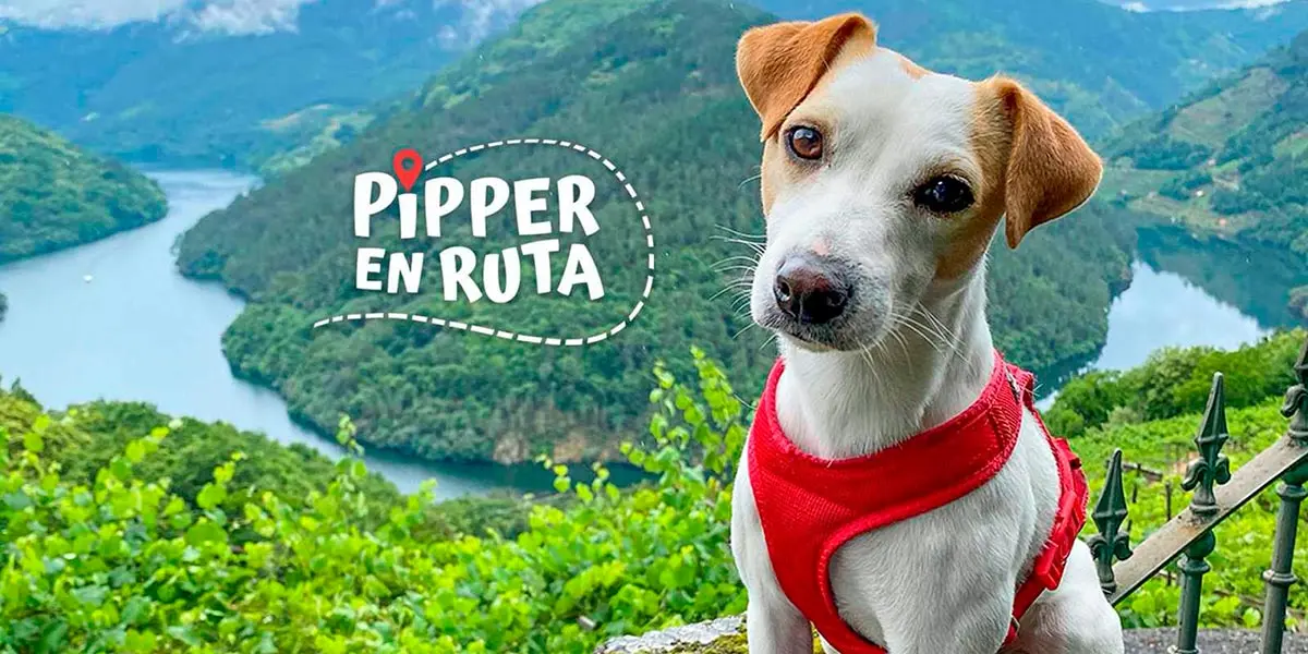 Pipper, el popular perro influencer que da la vuelta a Espa&ntilde;a para promover la integraci&oacute;n de las mascotas en transportes, hosteler&iacute;a y atracciones tur&iacute;sticas, protagoniza un espacio de viajes en La2 junto a su humano, Pablo Mu&ntilde;oz Gabilondo