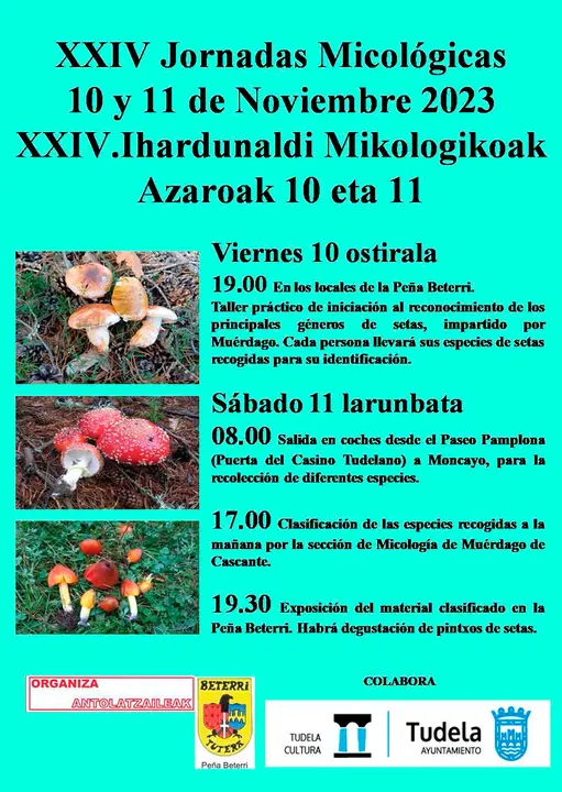 XXIII Jornadas micol&oacute;gicas de la Pe&ntilde;a Beterri 2023 en Tudela