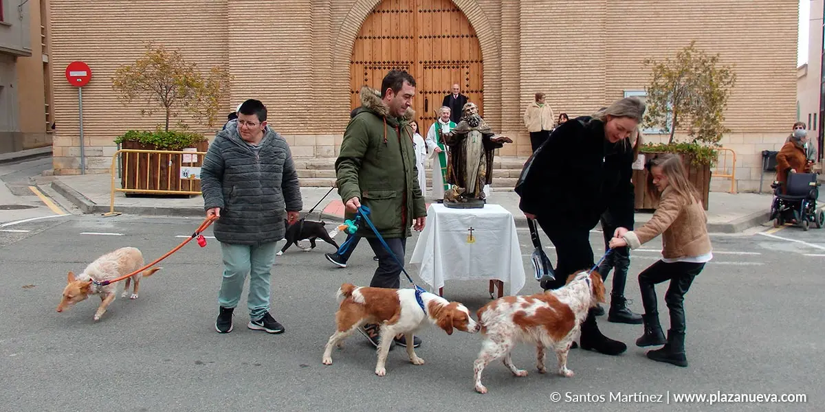 San Ant&oacute;n 2024 en Murchante 4