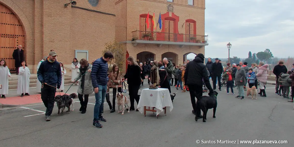 San Ant&oacute;n 2024 en Murchante 6