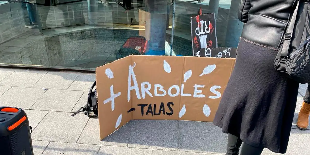 Funeral por los &aacute;rboles del muro en Tudela 6