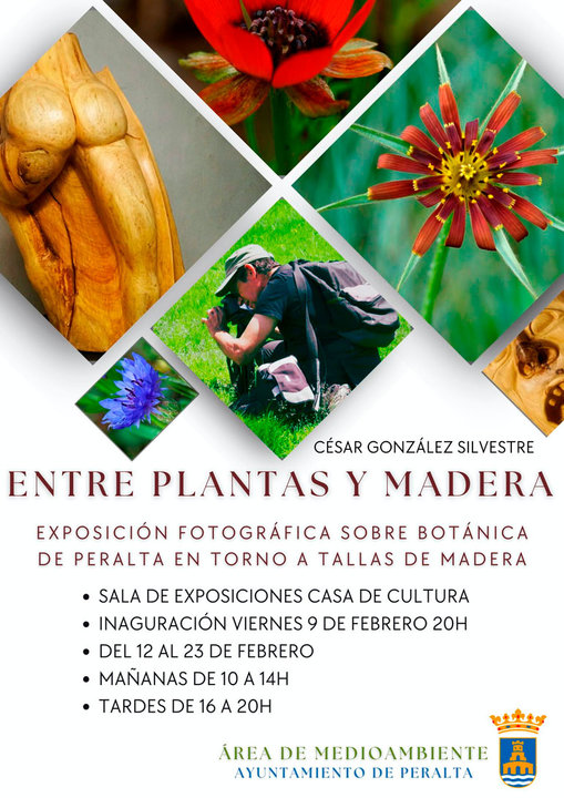 Exposición en Peralta ‘Entre plantas y madera’ de César González Silvestre