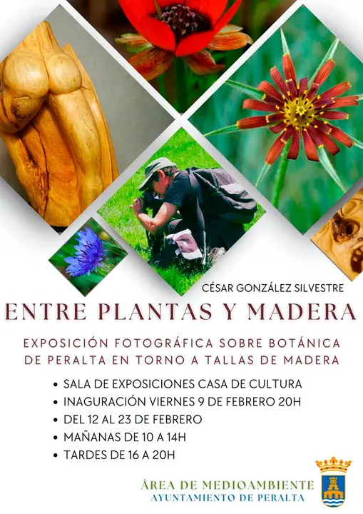 Exposici&oacute;n en Peralta &lsquo;Entre plantas y madera&rsquo; de C&eacute;sar Gonz&aacute;lez Silvestre