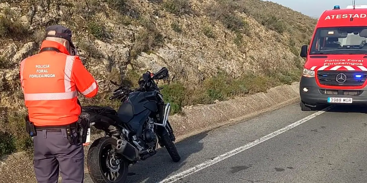 La carretera NA 115 ha quedado cortada al tr&aacute;fico