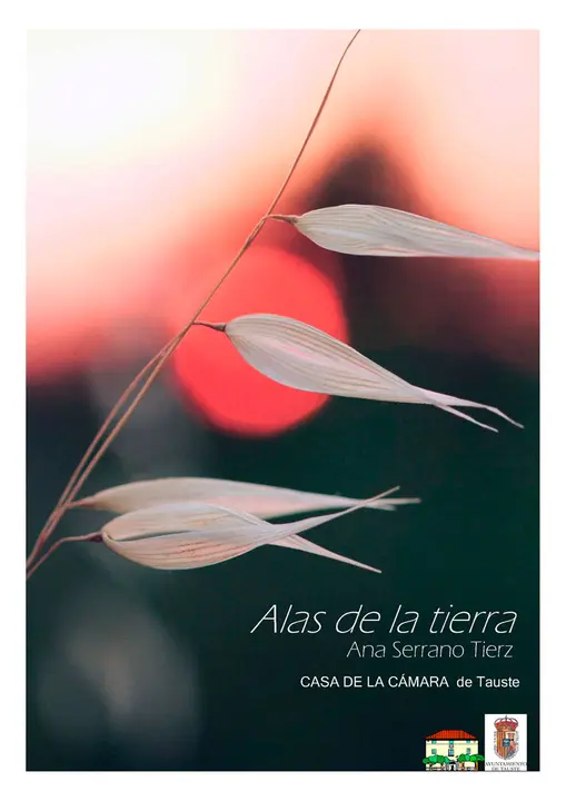 Exposici&oacute;n de fotograf&iacute;a en Tauste &lsquo;Alas de la tierra&rsquo; de Ana Serrano Tierz