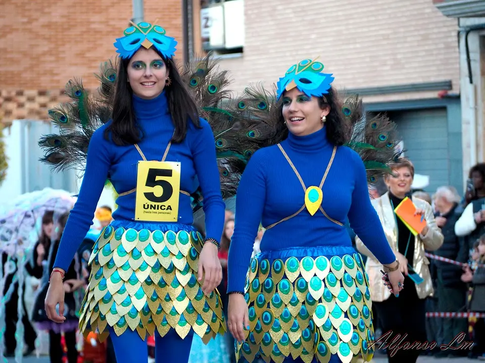 Carnaval en Ribaforada 2024 - 24
