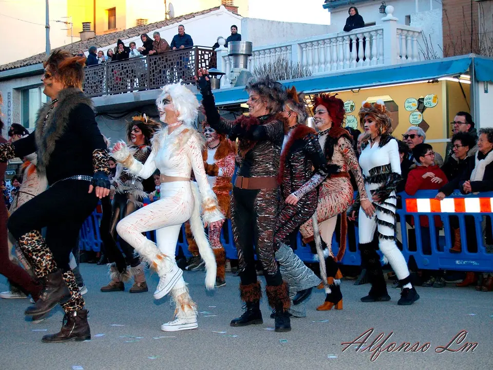 Carnaval en Ribaforada 2024 - 29