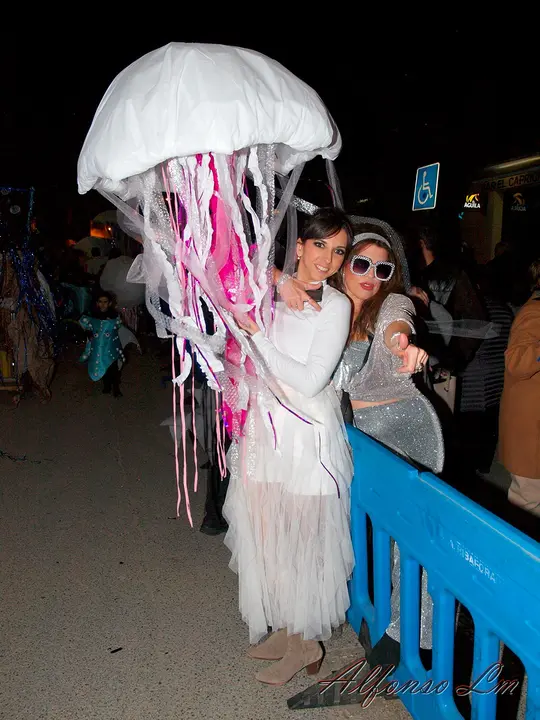 Carnaval en Ribaforada 2024 - 47