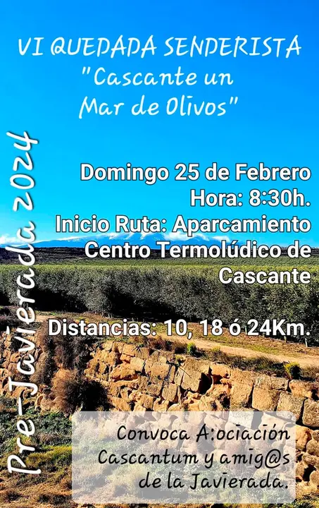 VI Quedada senderista &lsquo;Cascante, un mar de olivos&rsquo; 2024 en Cascante