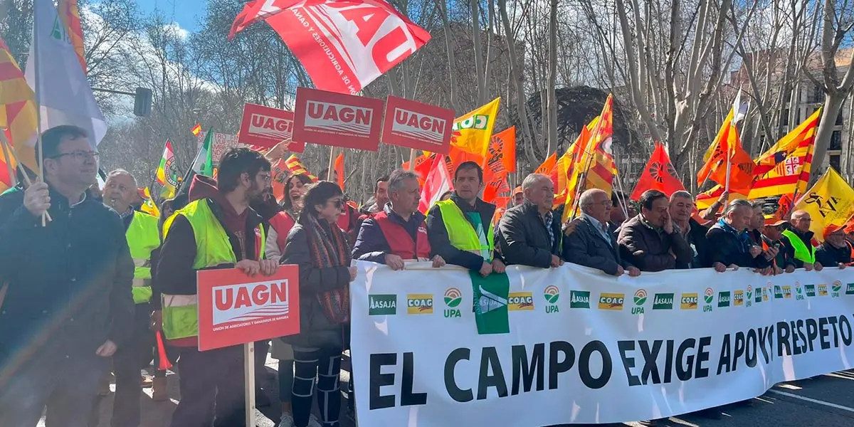 Agricultores de Tudela y Navarra en Madrid