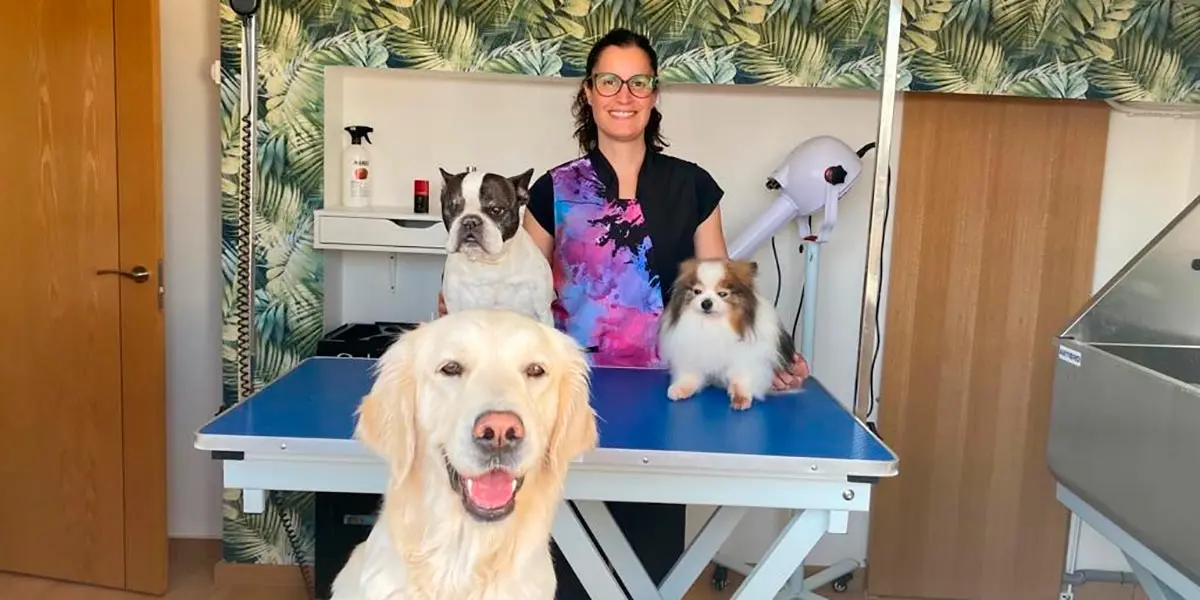 FONTELLAS Stetican Peluquer&iacute;a Canina (Susana Lezcano Chueca)