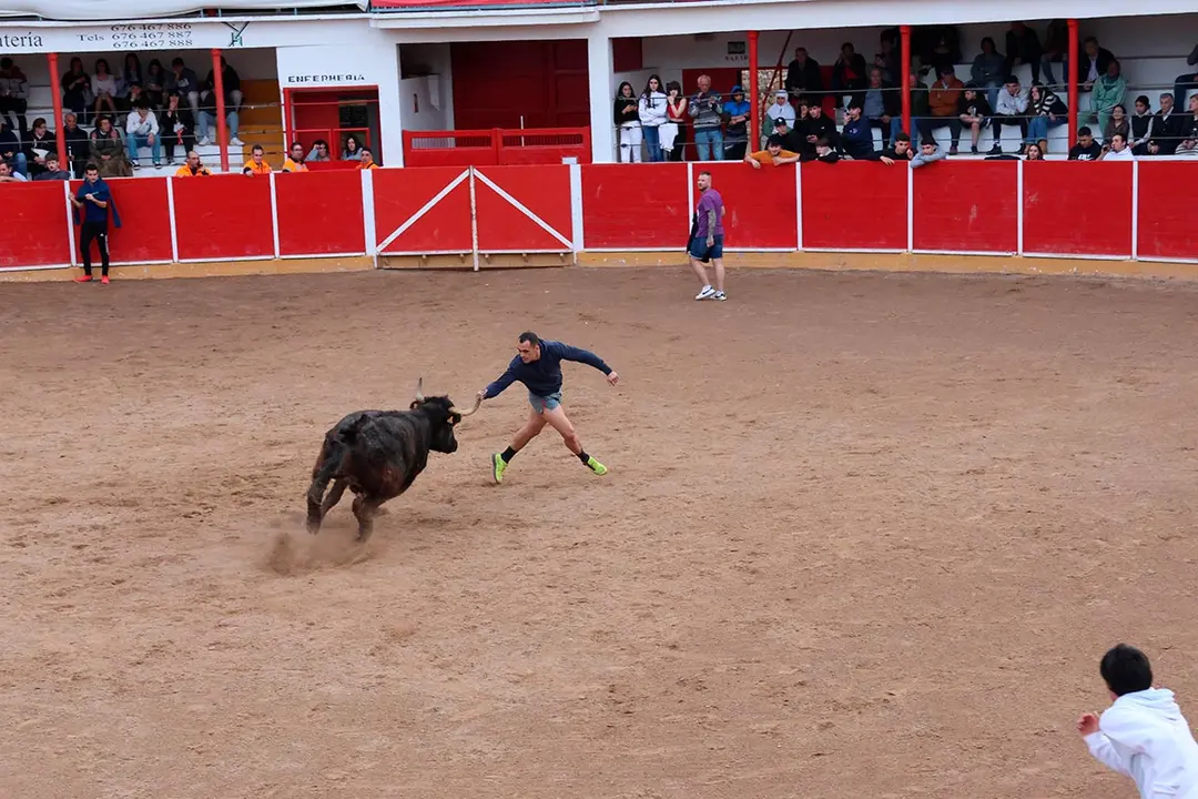 San Raimundo 2024 en Fitero 18