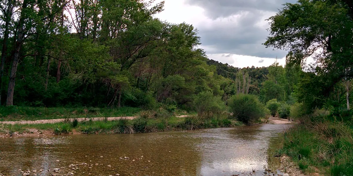 La situaci&oacute;n en Biel con el r&iacute;o Arba destaca la urgencia de proteger la calidad del agua y garantizar el acceso a agua potable segura
