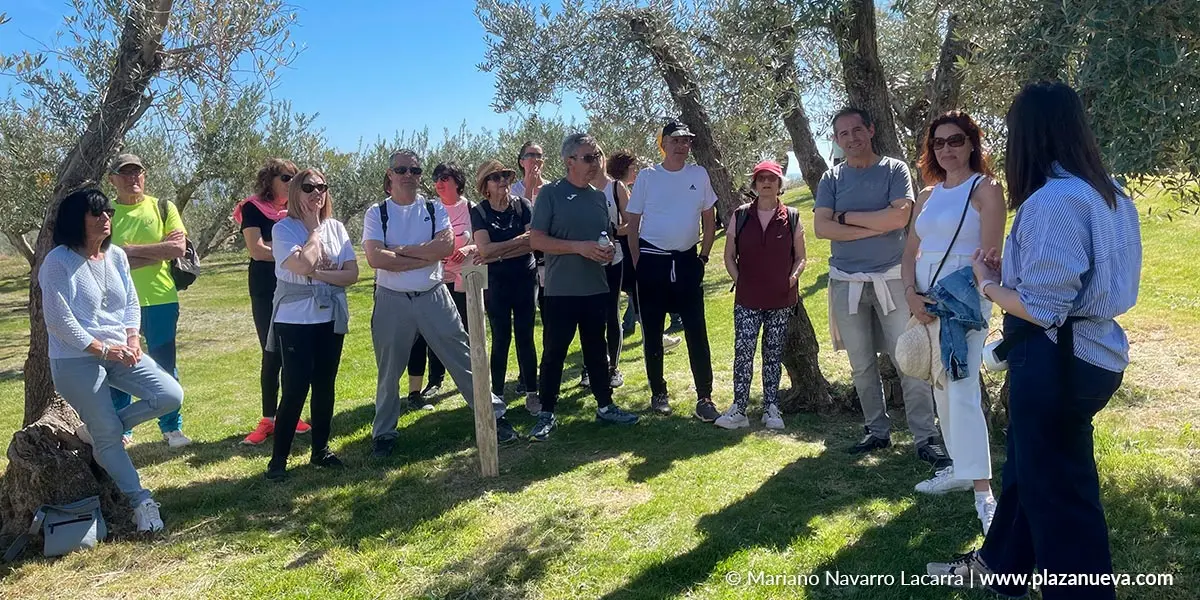 Cata y visita guiada al truja de Aceites Artajo en Fontellas 2
