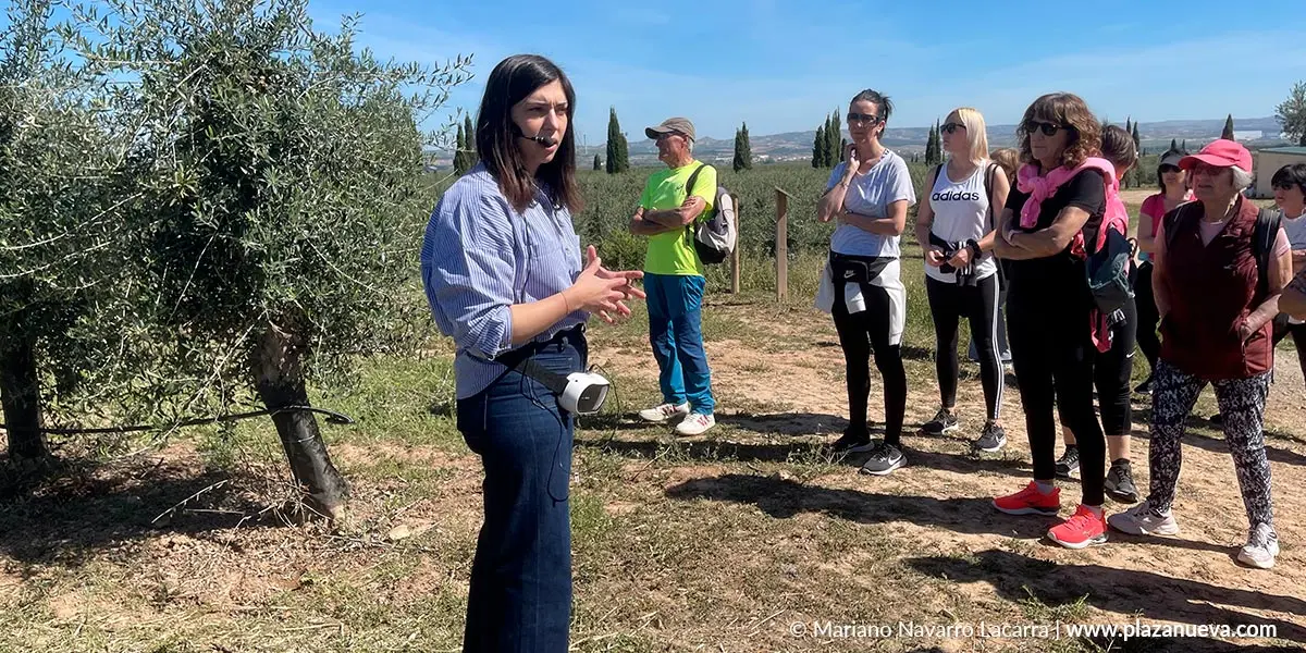 Cata y visita guiada al truja de Aceites Artajo en Fontellas 3