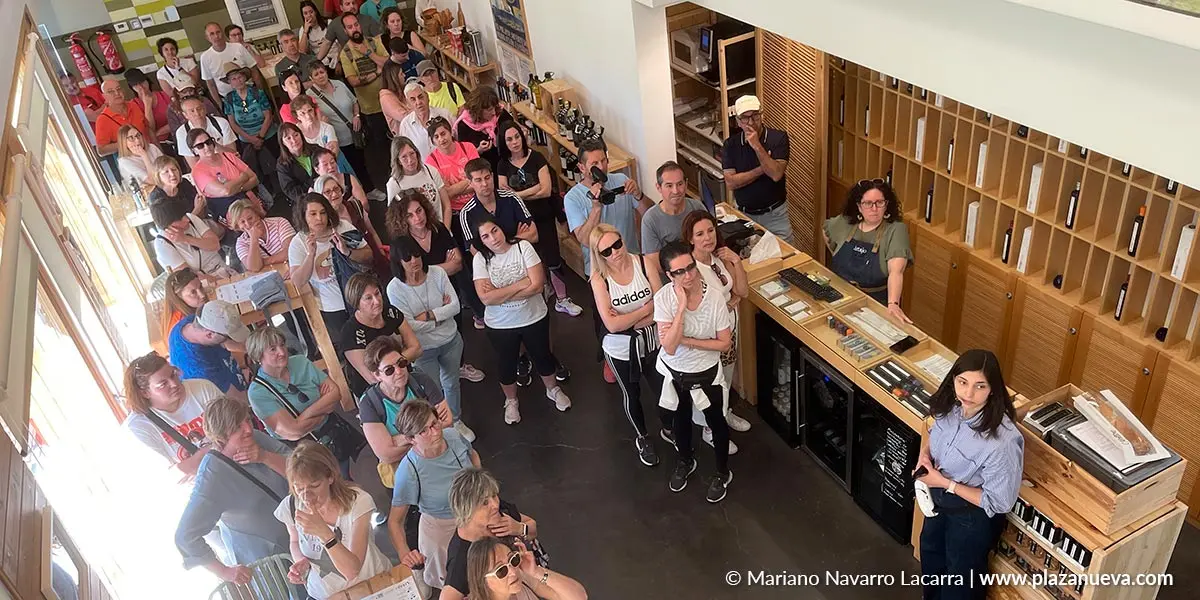 Cata y visita guiada al truja de Aceites Artajo en Fontellas 4