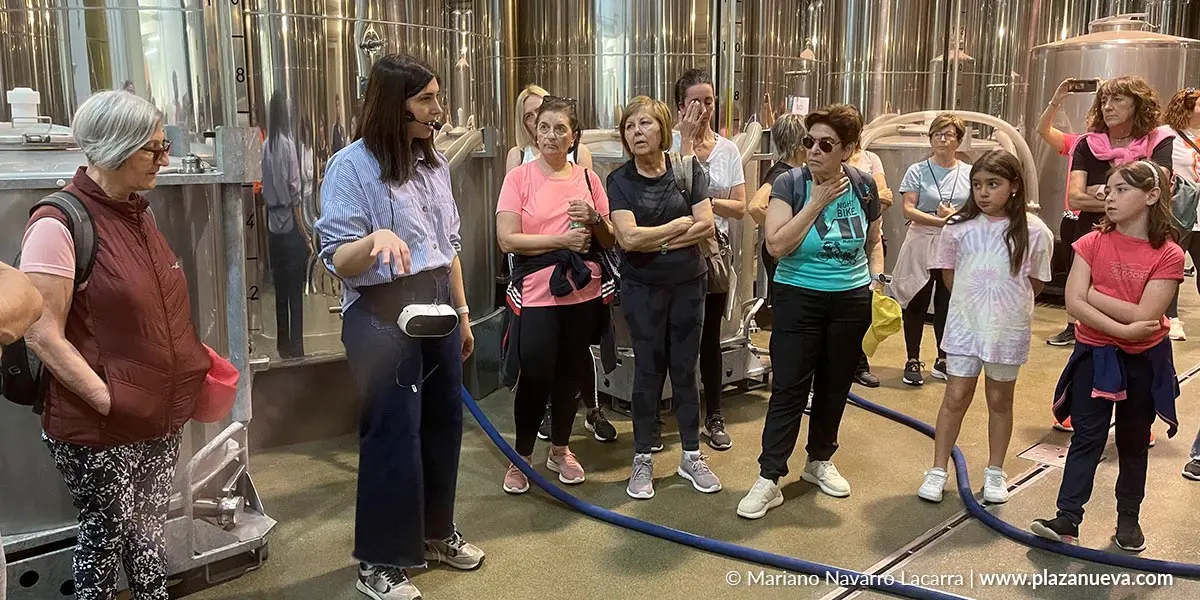 Cata y visita guiada al truja de Aceites Artajo en Fontellas 5