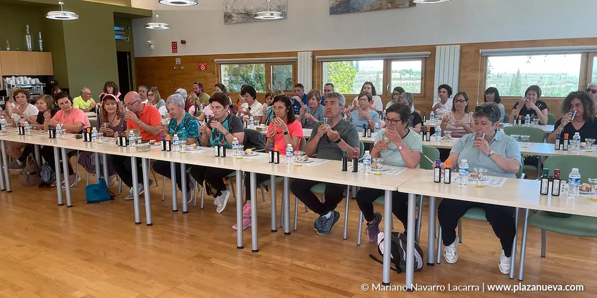 Cata y visita guiada al truja de Aceites Artajo en Fontellas 6