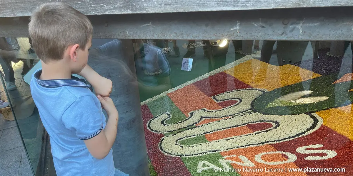 Mosaico de Verduras en la plaza de los Fueros 2