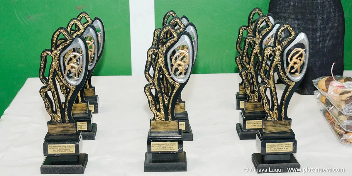 II Torneo de Gimnasia R&iacute;tmica de Caparroso 6