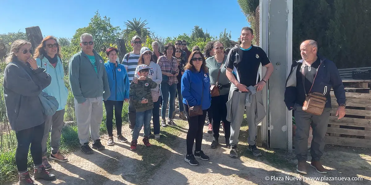 II Plantada Cofrad&iacute;a del Tomate en La Mejana 1