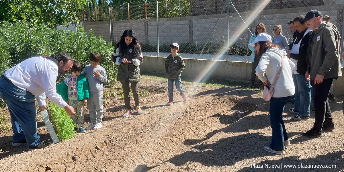 II Plantada Cofrad&iacute;a del Tomate en La Mejana 7