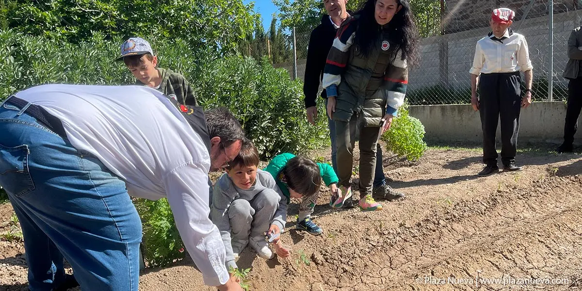 II Plantada Cofrad&iacute;a del Tomate en La Mejana 8
