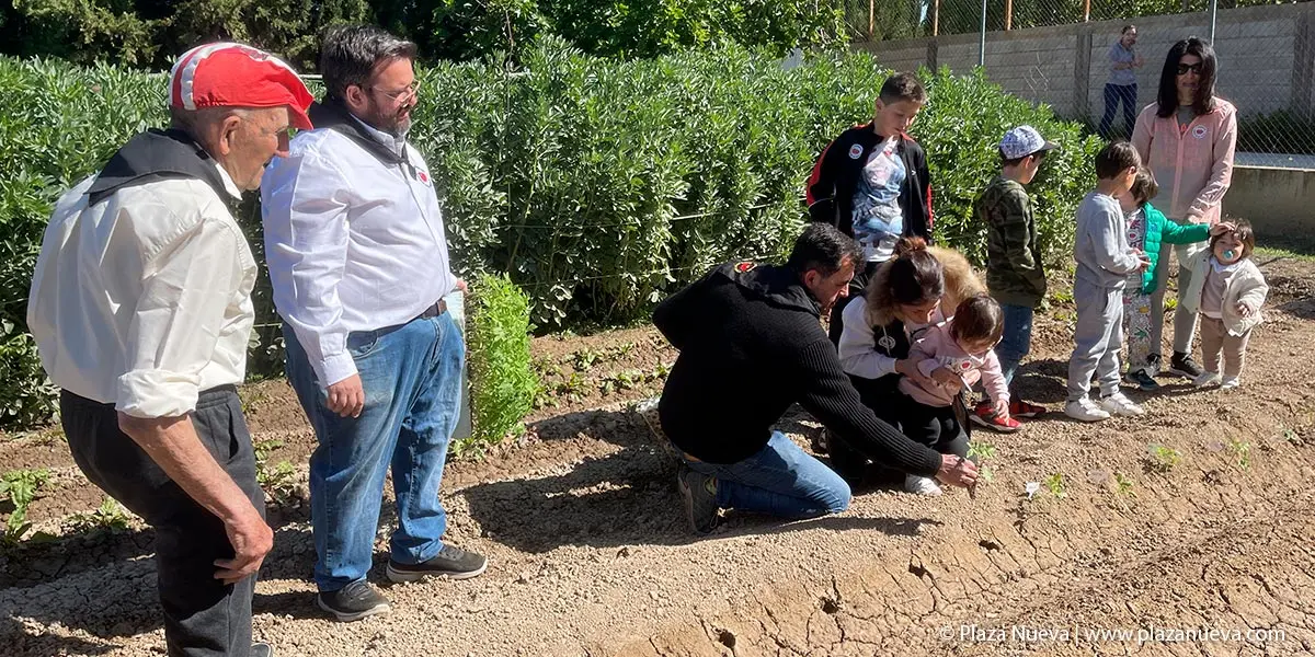 II Plantada Cofrad&iacute;a del Tomate en La Mejana 10