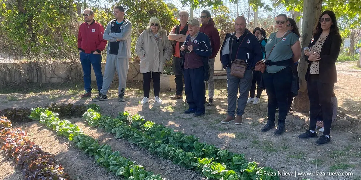 II Plantada Cofrad&iacute;a del Tomate en La Mejana 11