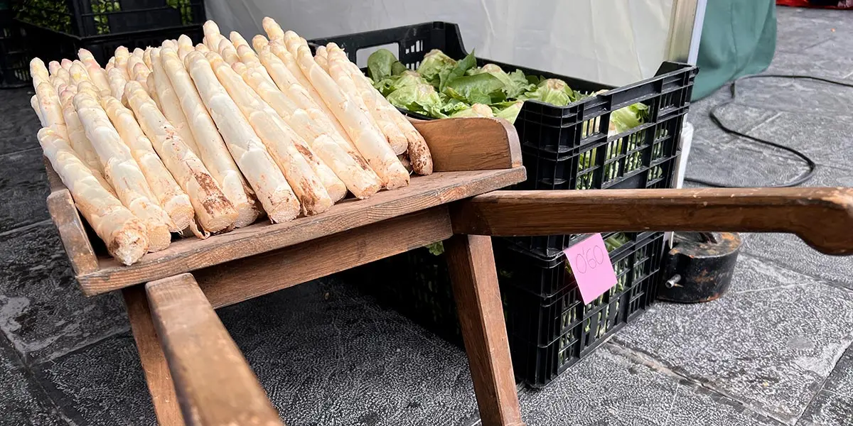Feria de la Verdura y la Gastronom&iacute;a 13