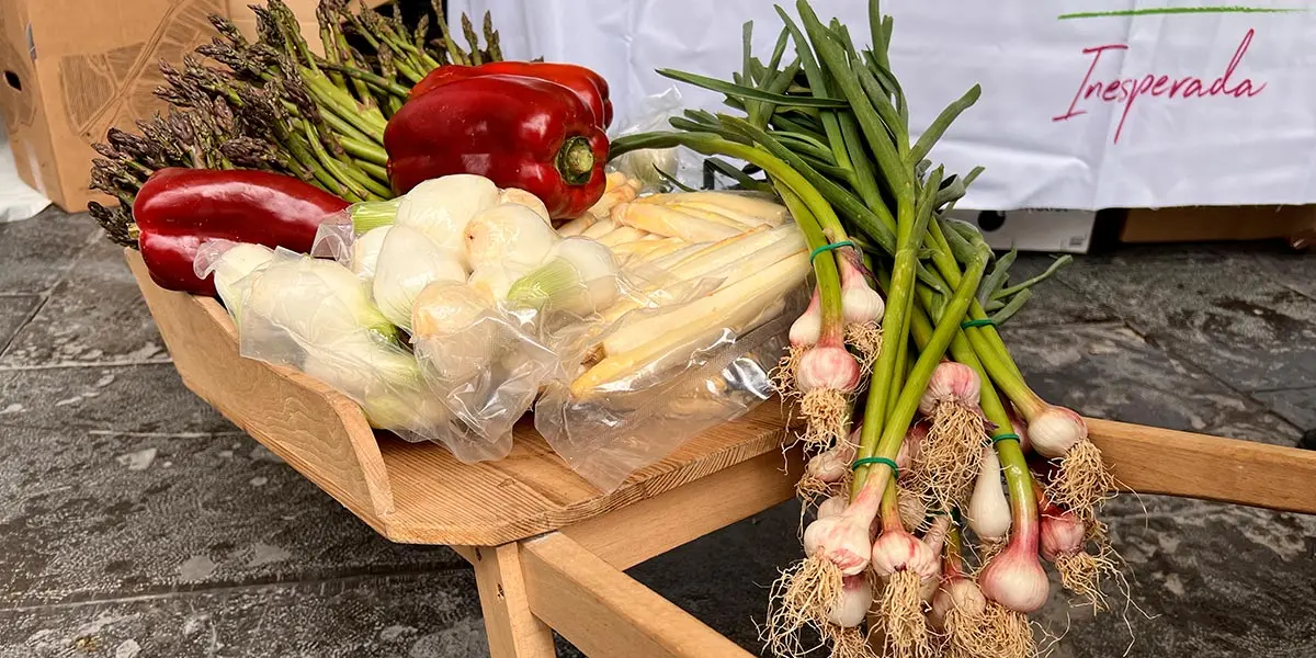 Feria de la Verdura y la Gastronom&iacute;a 14