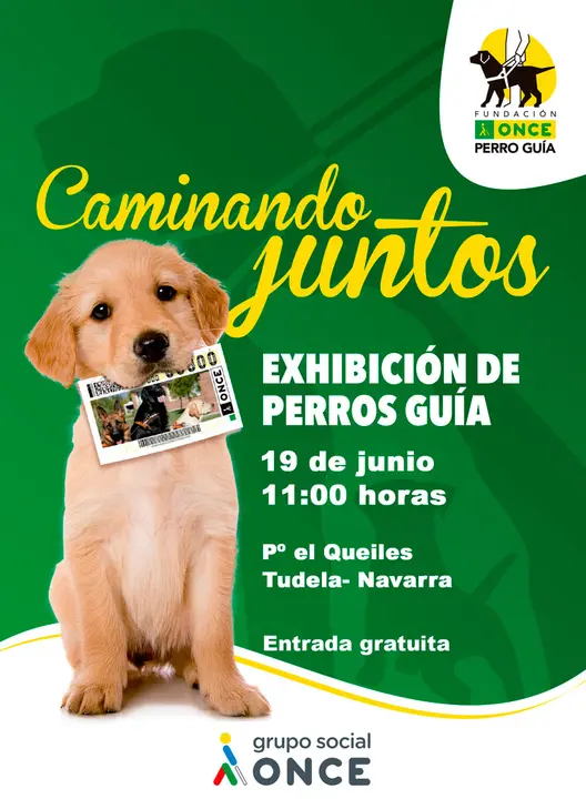 Exhibici&oacute;n en Tudela de perros gu&iacute;a