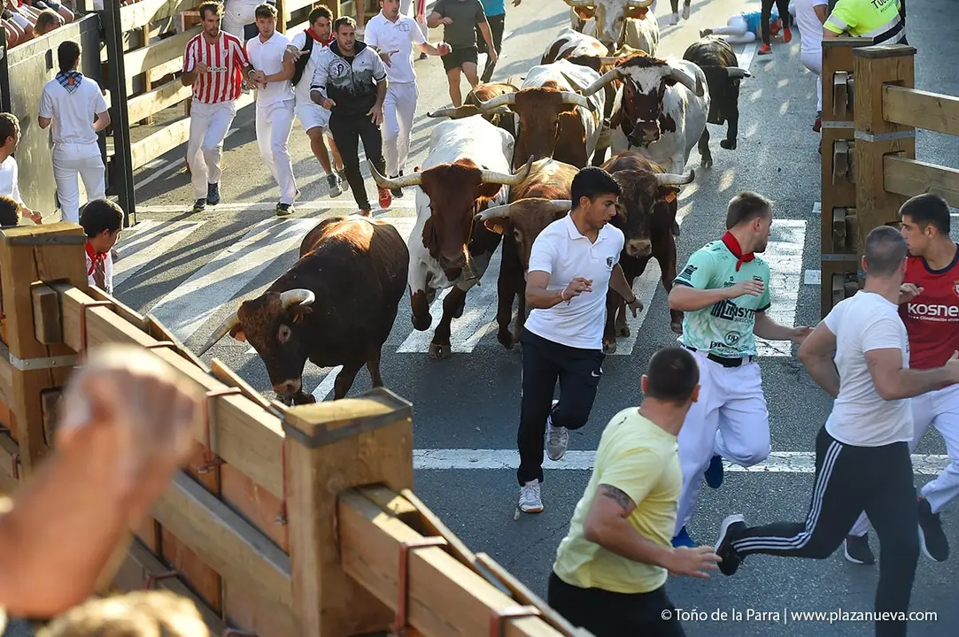 240725_ENCIERRO (11)