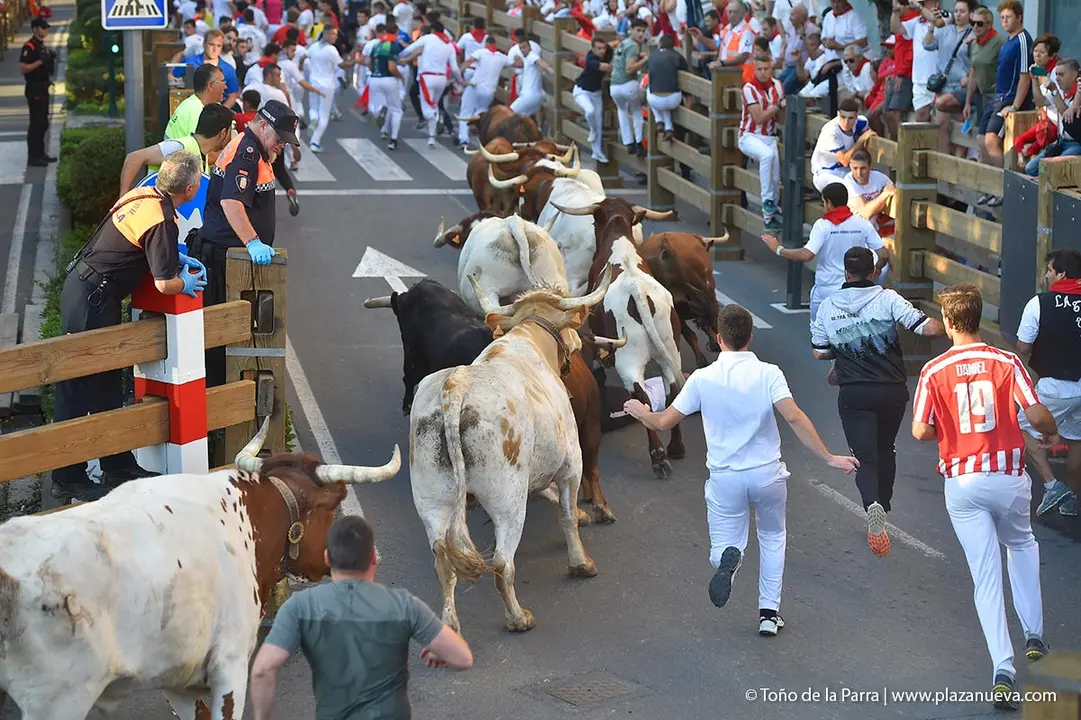 240725_ENCIERRO (15)