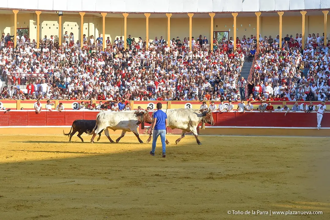 240725_ENCIERRO (28)
