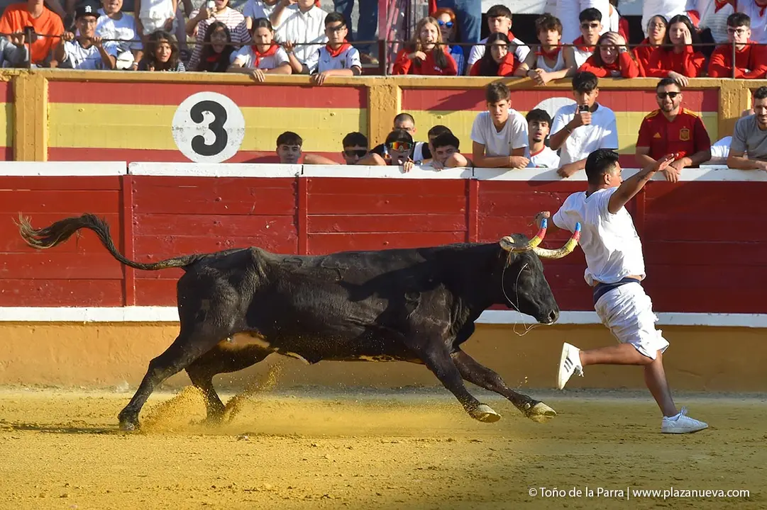 240725_ENCIERRO (29)