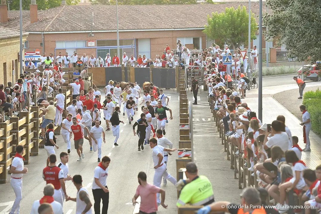240726_FIESTAS1-(51)