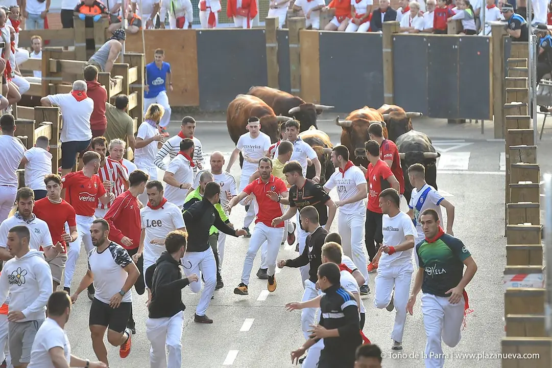 240726_FIESTAS1-(55)