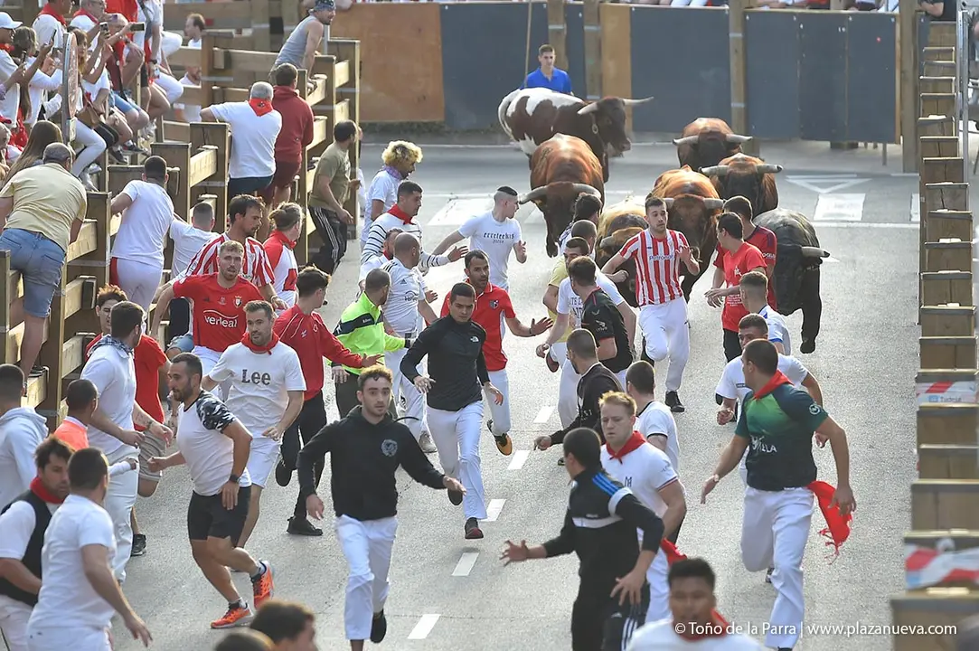 240726_FIESTAS1-(58)