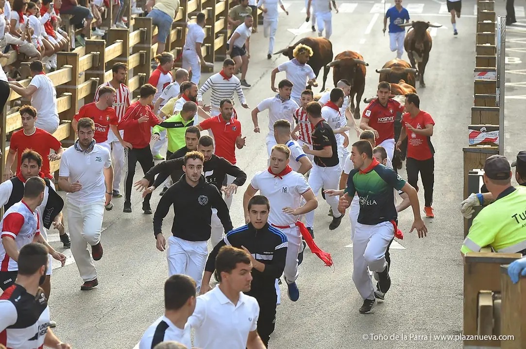 240726_FIESTAS1-(64)