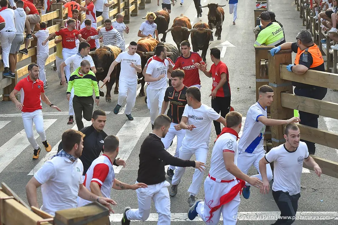 240726_FIESTAS1-(74)